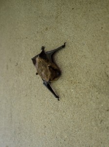 20130831_155156_za_E-M5_14926-1439x1920