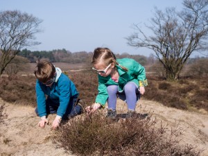 20140309_112535_zo_E-M5_97470-1600x1200