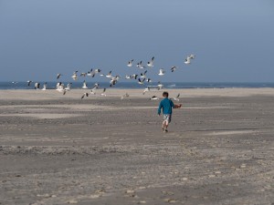 20140422_190857_di_E-M5_28530
