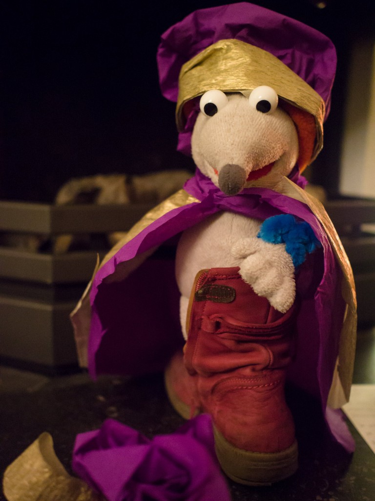 20151126_230156_do_E-M5_65847